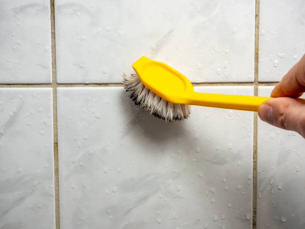 Best Commercial Mold Removal  in Sierra Ridge, CO