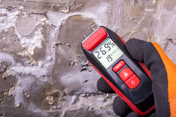 Best Attic Mold Removal  in Sierra Ridge, CO